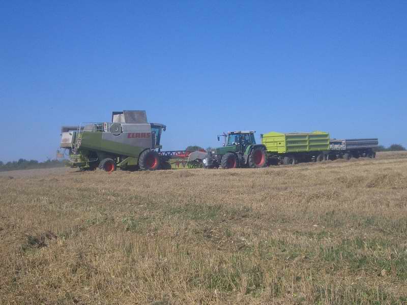bilder/29_8_2005/lexion_fendt_5.jpg