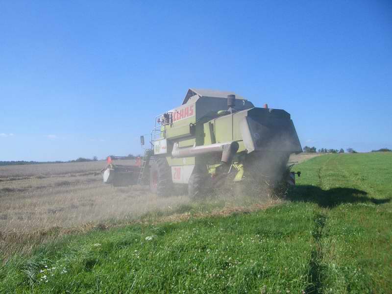 bilder/29_8_2005/mega_2.jpg