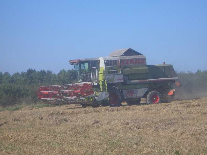 bilder/29_8_2005/mega_6.jpg
