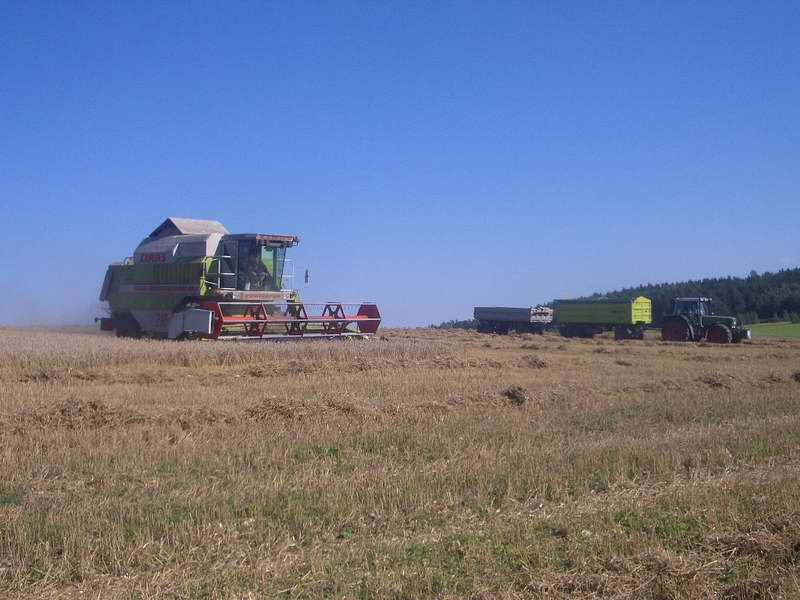 bilder/29_8_2005/mega_fendt.jpg