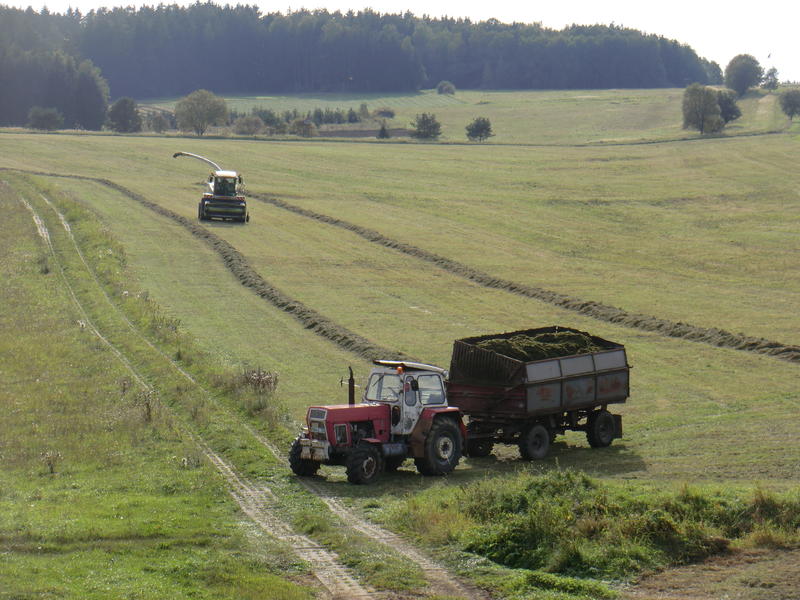 bilder/29_9_2011_2/CIMG5129.jpg