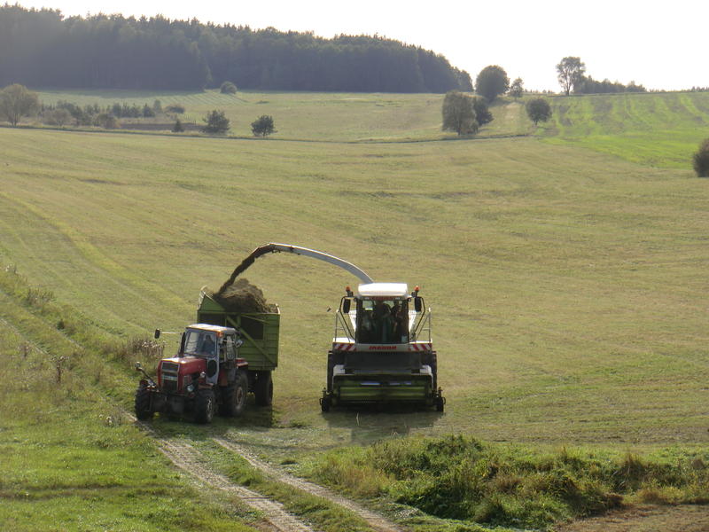 bilder/3_9_2011/CIMG4657.jpg