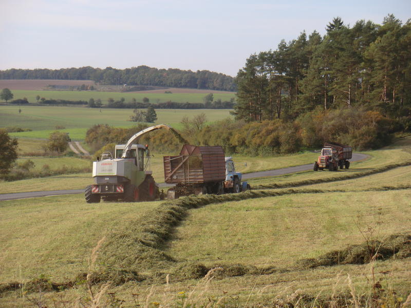 CIMG5144.jpg