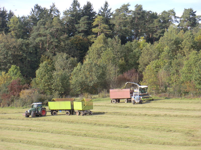 bilder/29_9_2011_2/CIMG5147.jpg
