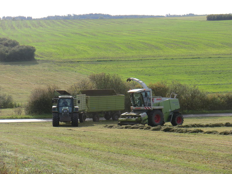 bilder/29_9_2011_2/CIMG5156.jpg