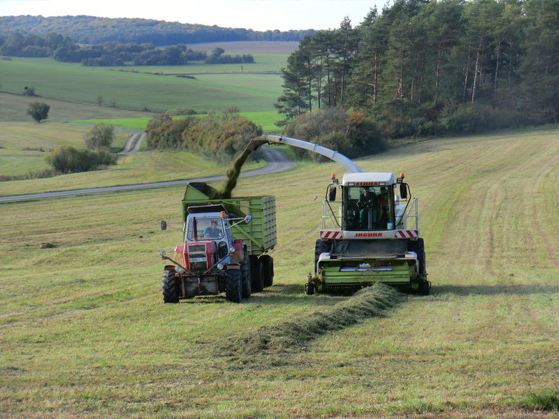 bilder/29_9_2011_2/CIMG5174.jpg