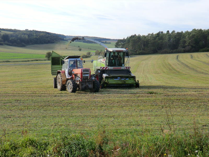 bilder/29_9_2011_2/CIMG5175.jpg