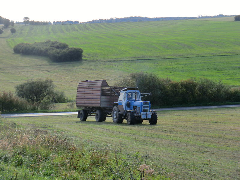 bilder/1_8_2012/CIMG9912.jpg