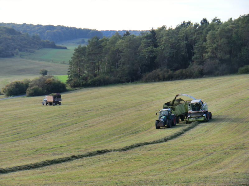 bilder/29_9_2011_2/CIMG5195.jpg