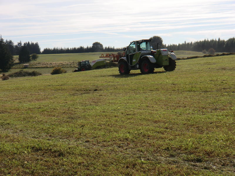 bilder/29_9_2011_3/CIMG5096.jpg