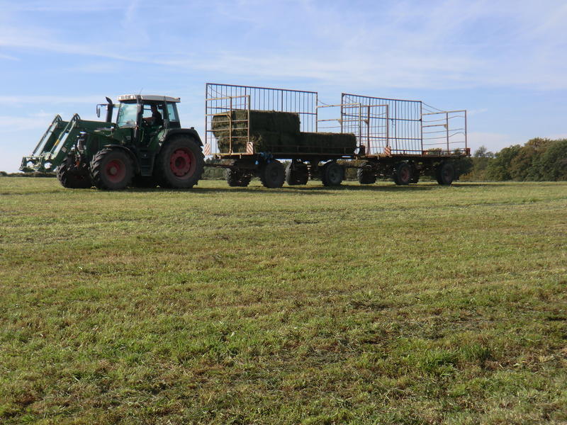 CIMG5097.jpg