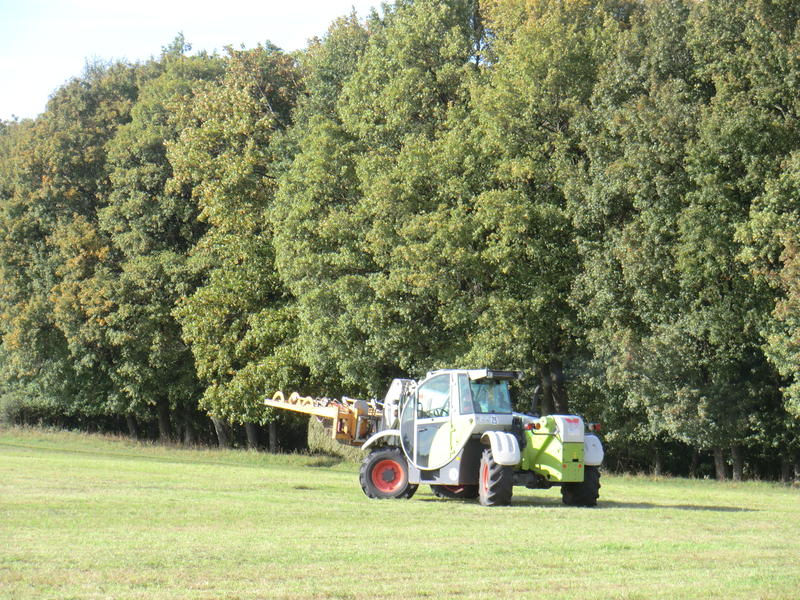 bilder/22_4_2003/zt_323.jpg