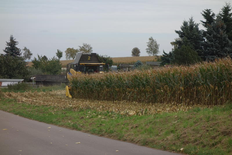 bilder/28_5_2012/CIMG8567.jpg