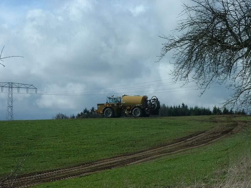 bilder/2_4_2003/terra_gator_5.jpg
