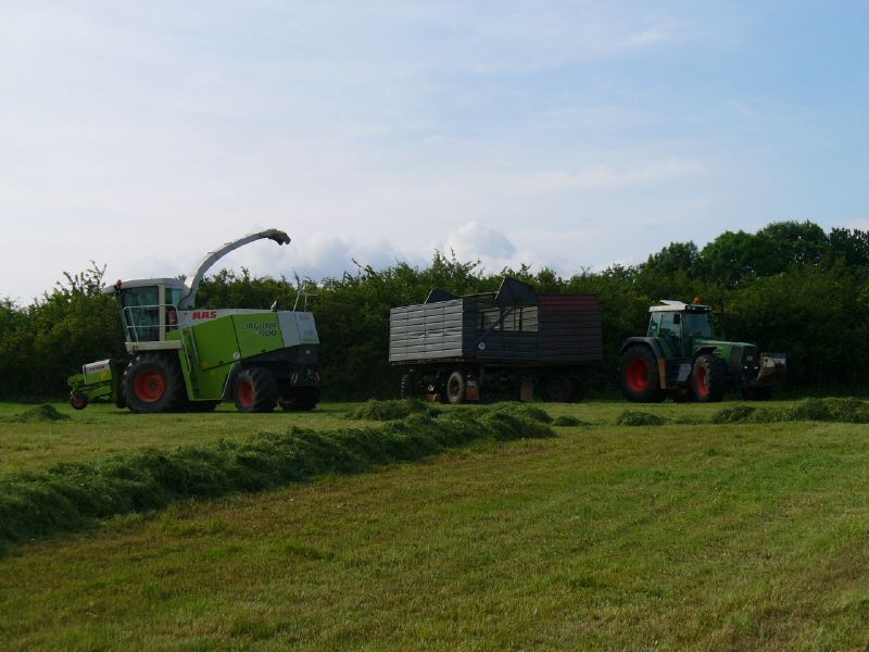 bilder/26_5_2017/DSC08339.jpg