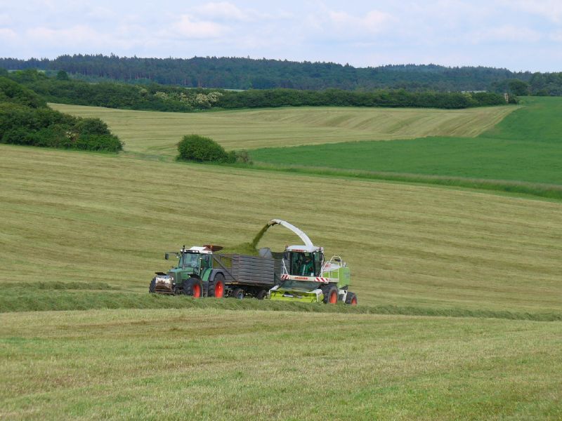 bilder/2_6_2007/P1010611.jpg