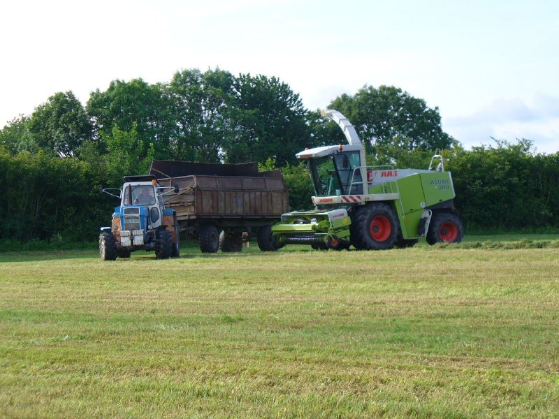 bilder/2_6_2007/P1010620.jpg