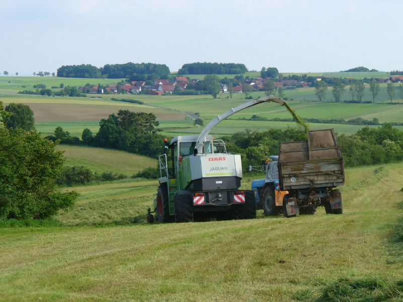 bilder/2_6_2007/P1010630.jpg