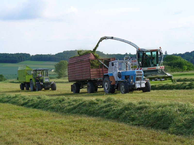 bilder/2_7_2013_2/CIMG8071.jpg