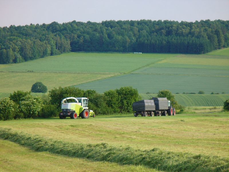 bilder/2_6_2007/P1010654.jpg