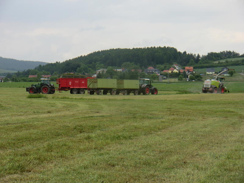 CIMG2807.jpg