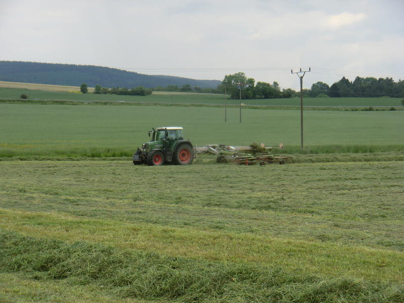 CIMG2809.jpg