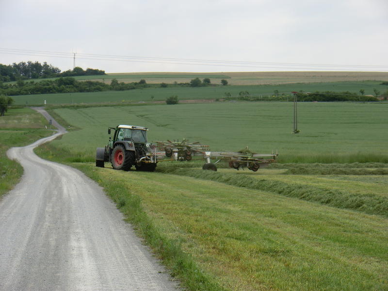 CIMG2810.jpg