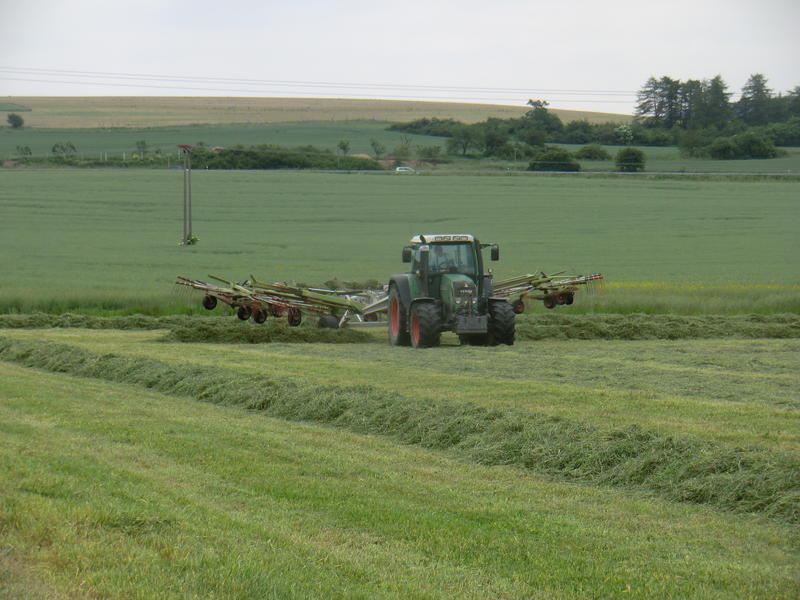 bilder/16_6_2011/CIMG2517.jpg