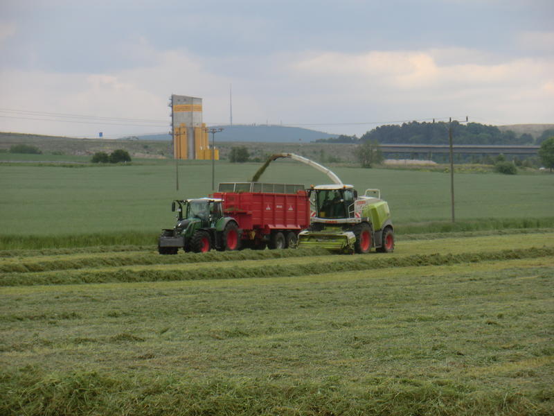 bilder/15_7_2021_2/DSC01365.jpg