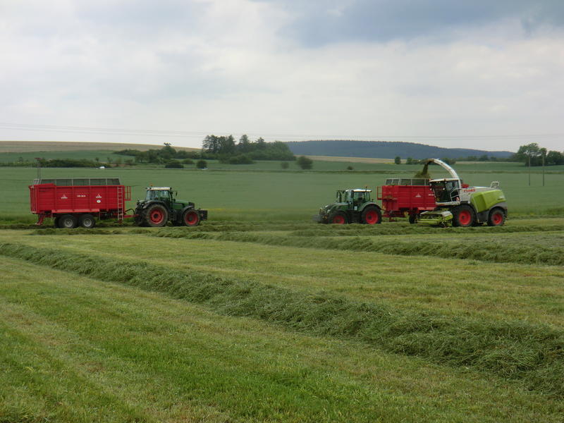 bilder/2_6_2014/CIMG2822.jpg