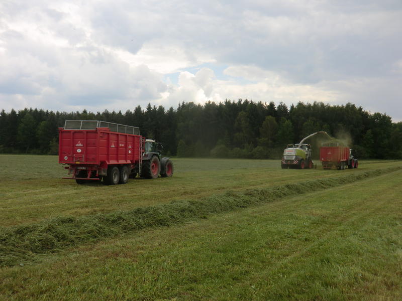 bilder/2_6_2014/CIMG2827.jpg