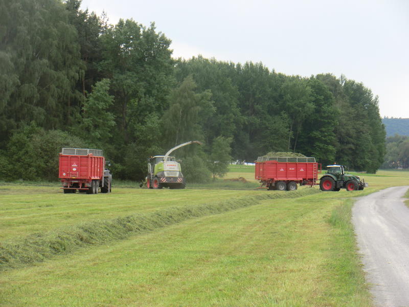 bilder/2_6_2014/CIMG2828.jpg