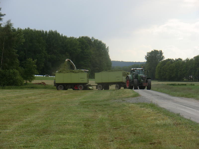 bilder/17_10_2017/DSC00806.jpg