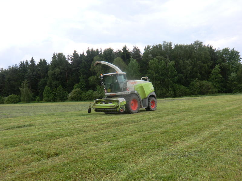 bilder/2_6_2014/CIMG2849.jpg