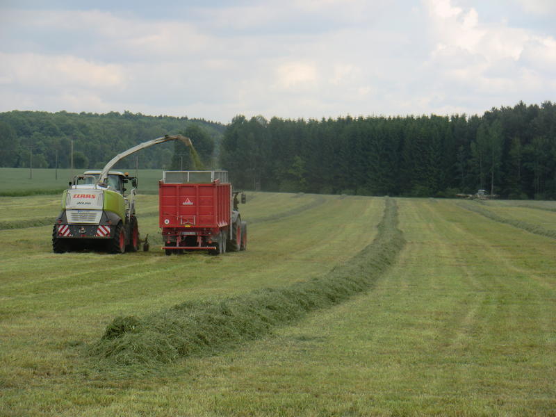 bilder/5_6_2014_2/CIMG3168.jpg