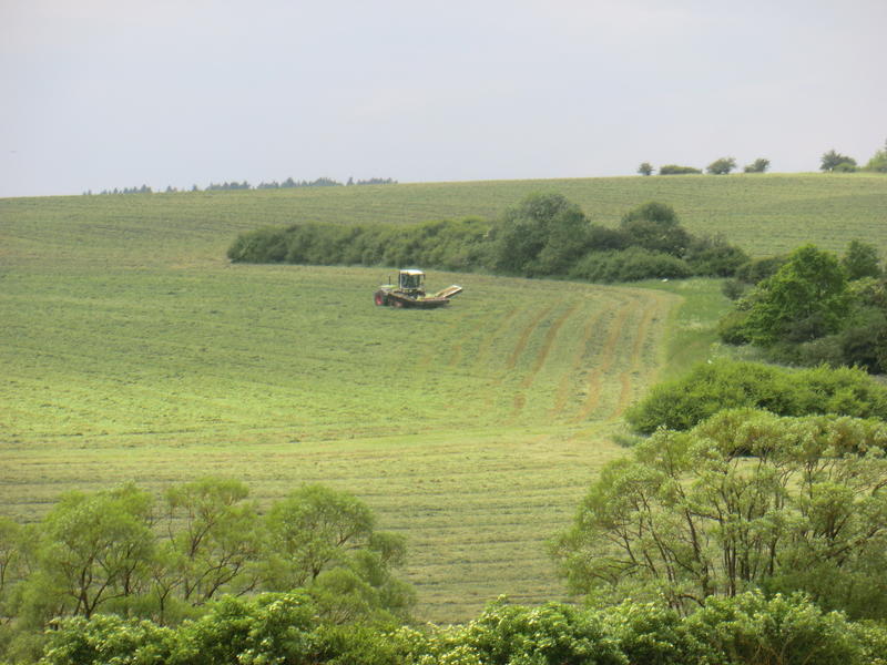 CIMG2711.jpg