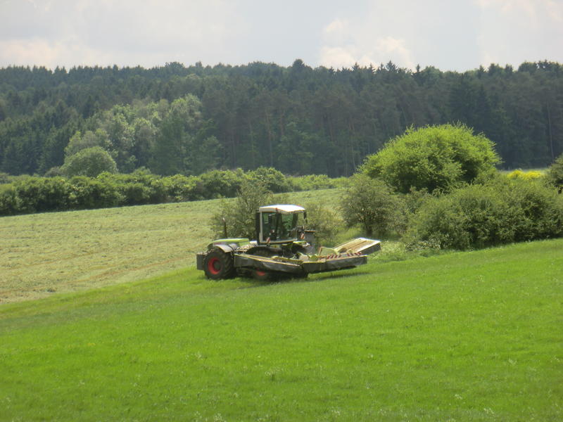 CIMG2715.jpg