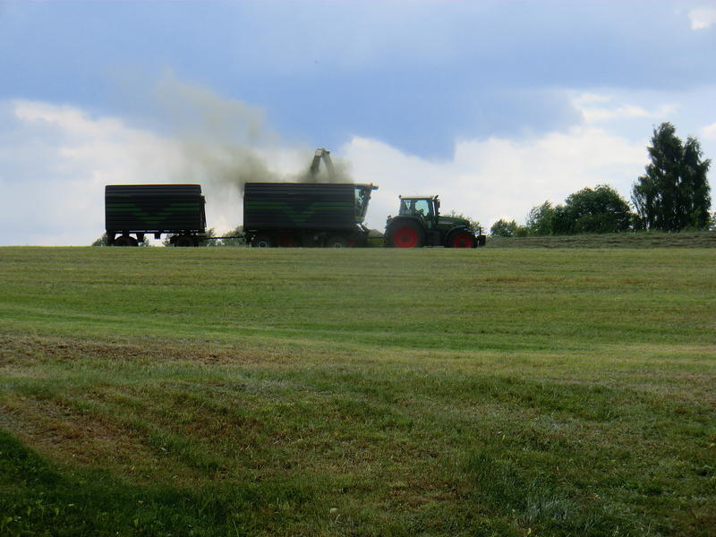 CIMG2716.jpg