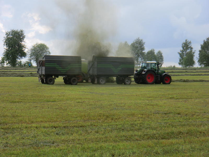 bilder/3_6_2007_2/P1010784.jpg