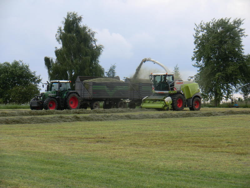 CIMG2735.jpg