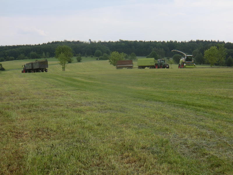 CIMG2744.jpg