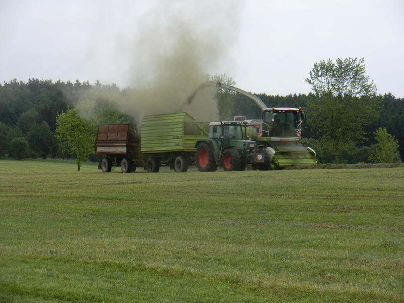 CIMG2745.jpg