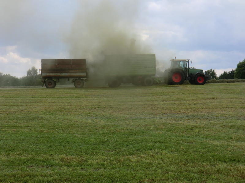 CIMG2746.jpg