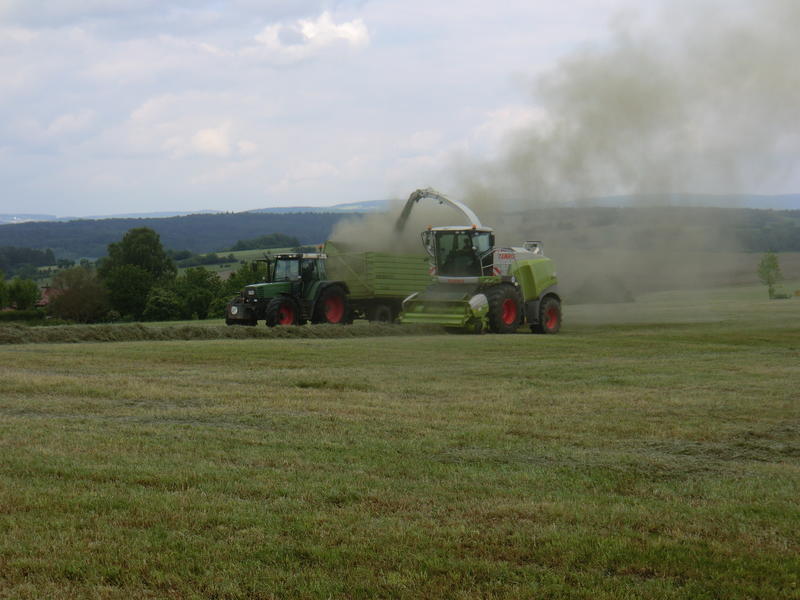 CIMG2748.jpg