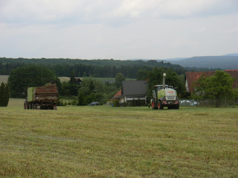 CIMG2769.jpg