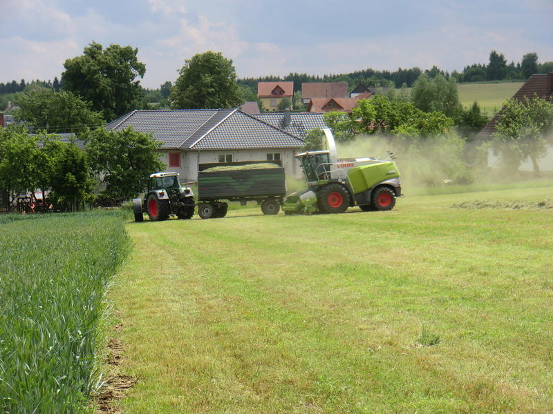 bilder/2_6_2014_2/CIMG2792.jpg