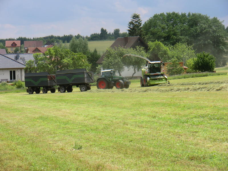 CIMG2793.jpg