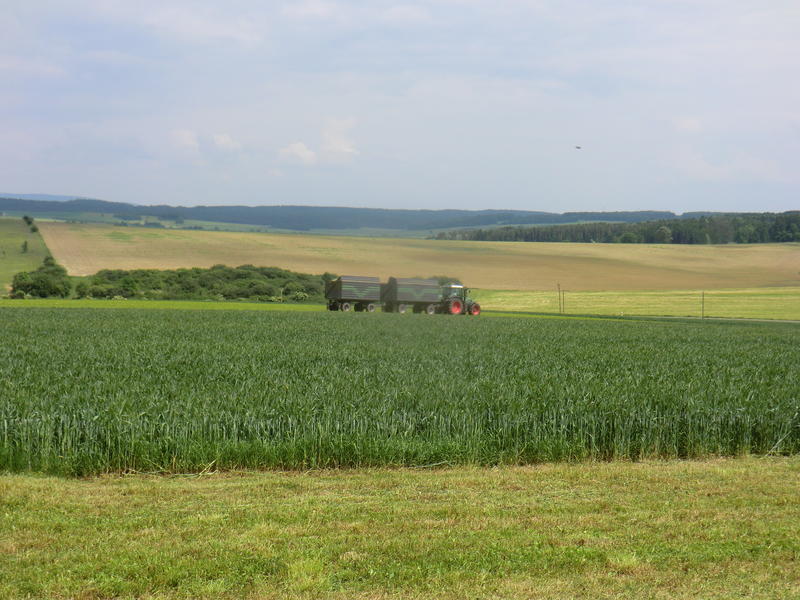 CIMG2804.jpg