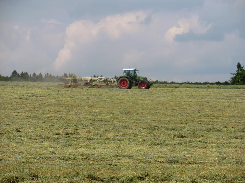 CIMG2805.jpg