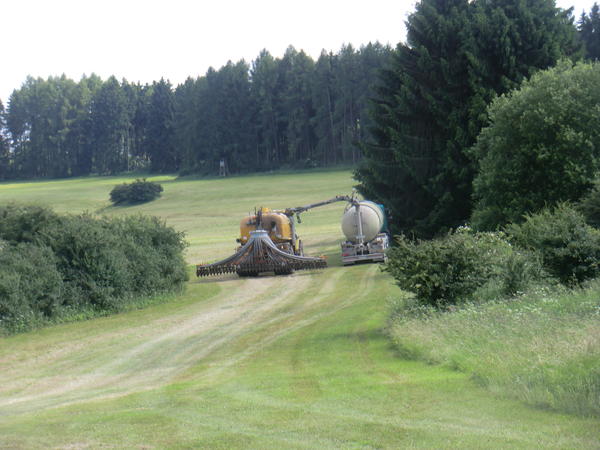 bilder/11_4_2005/zt_303_27.jpg
